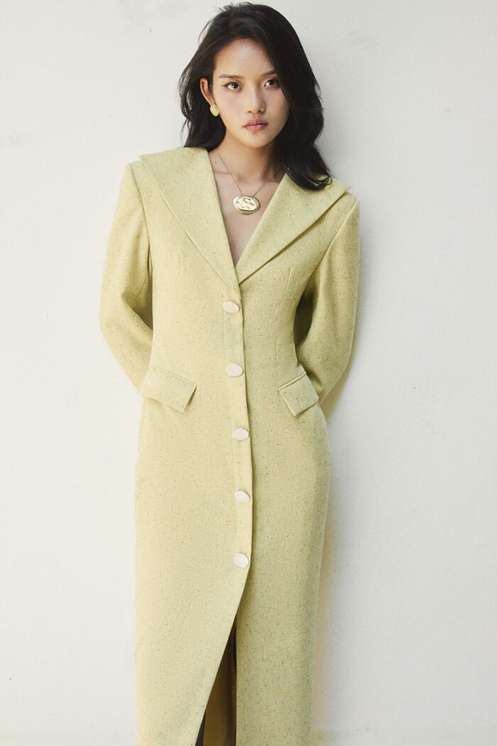Rafle Wool-Blend Tweed Dress - Image 4